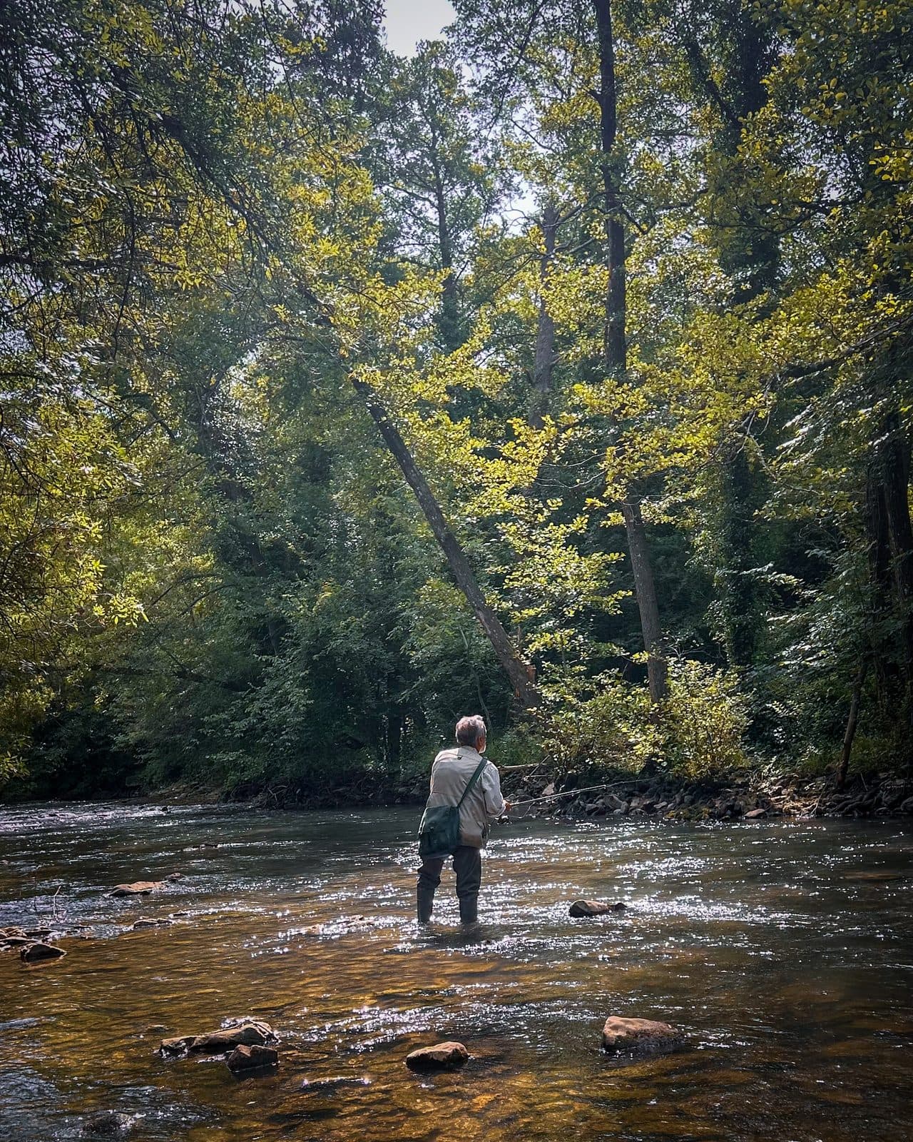 A pilgrim wading into a forest river midstream to cool off on a hot afternoon.