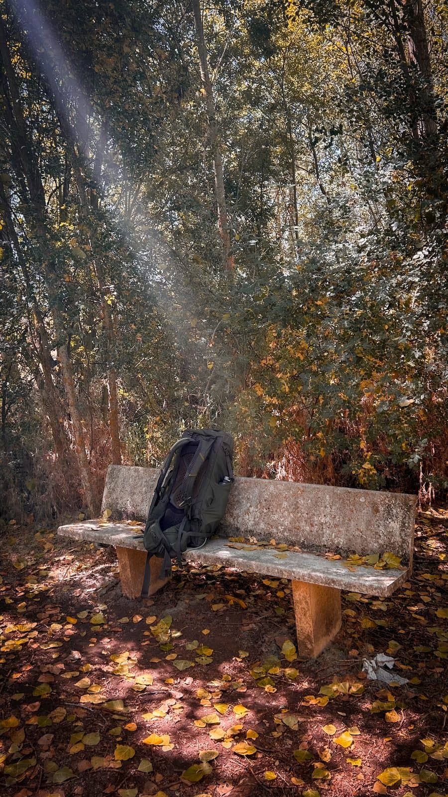 A backpack resting on a stone bench beneath golden falling leaves.