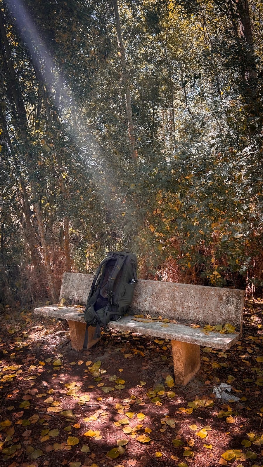 A backpack resting on a stone bench beneath golden falling leaves.