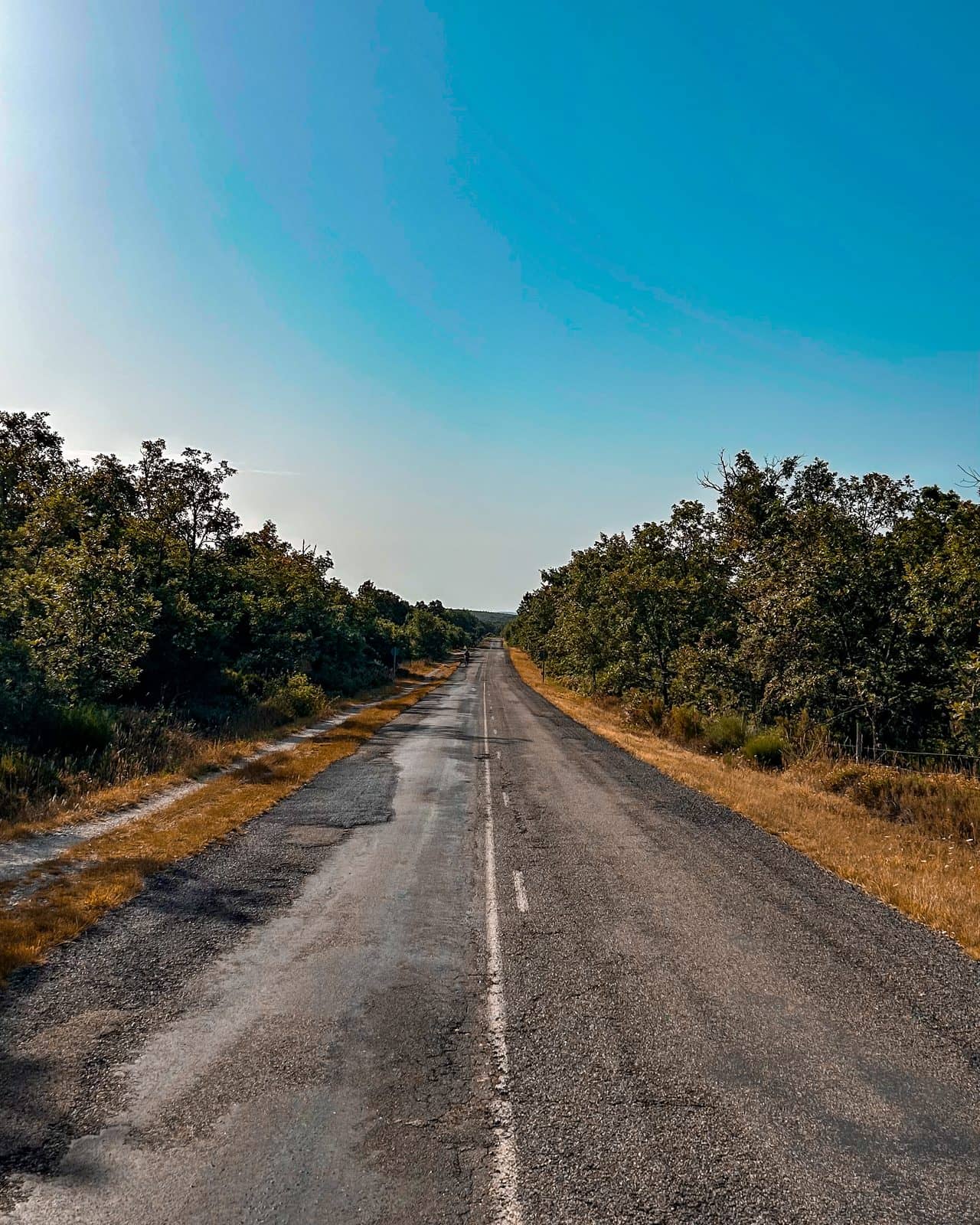 A two-lane road in the morning, running straight between dark trees toward the horizon, with one walker far ahead.
