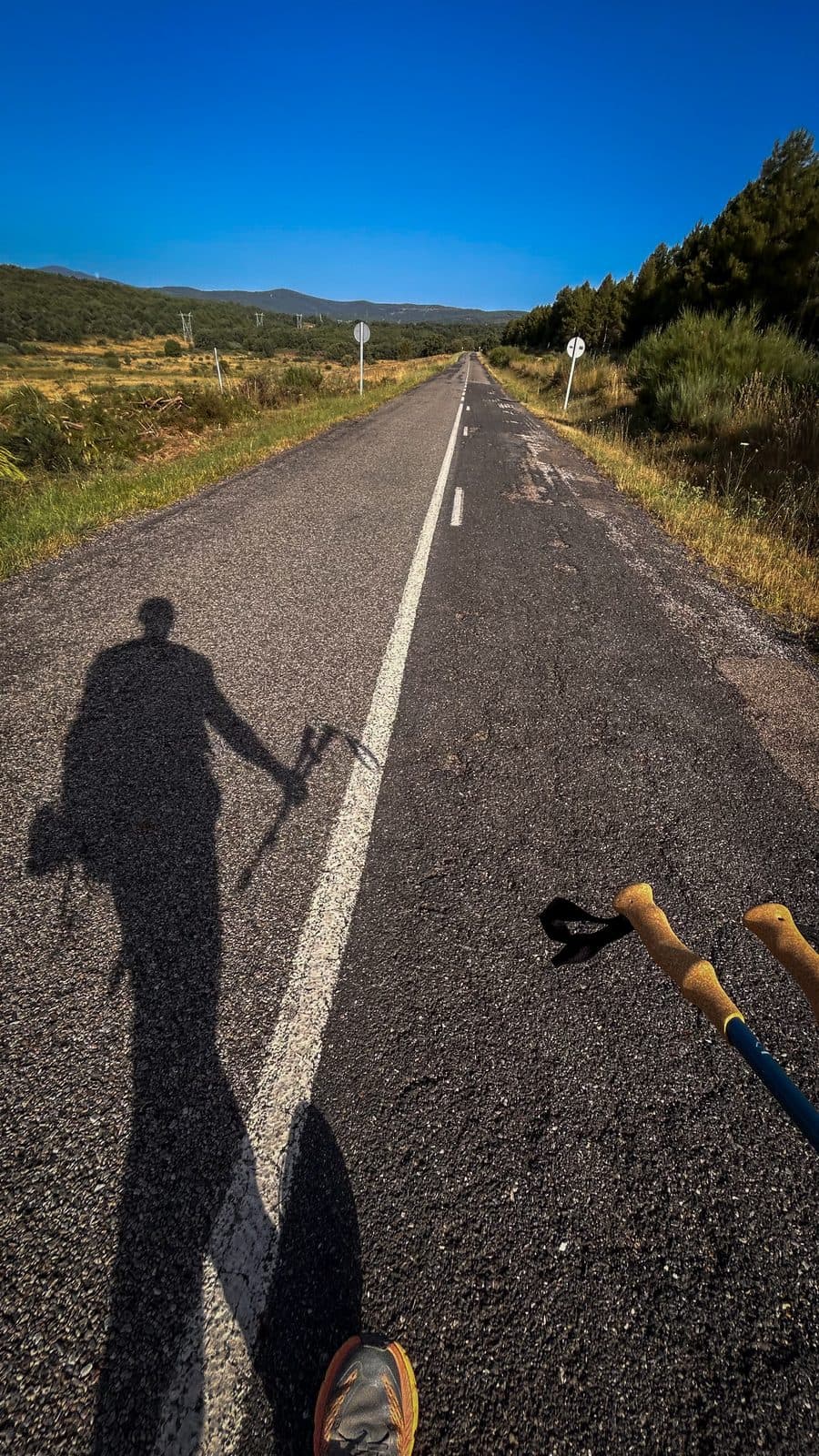 The walker's long morning shadow stretched across empty asphalt, trekking poles in hand.